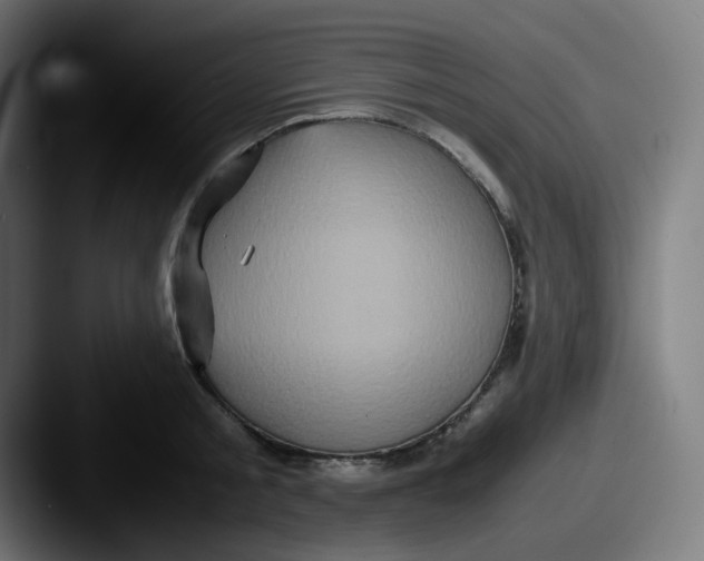 X0000087560805200705181123