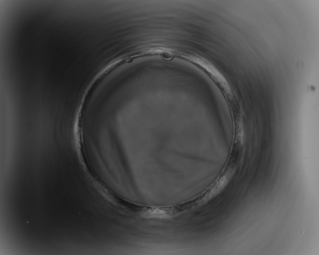 X0000087560806200705181123