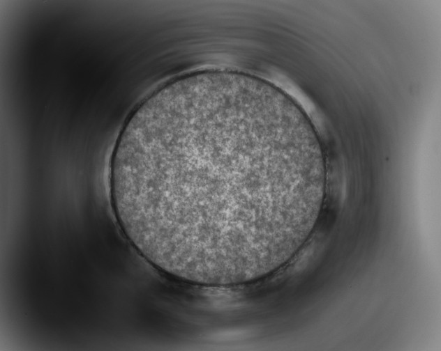 X0000087560807200705181123