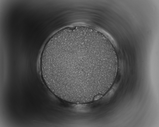 X0000087560808200705181123