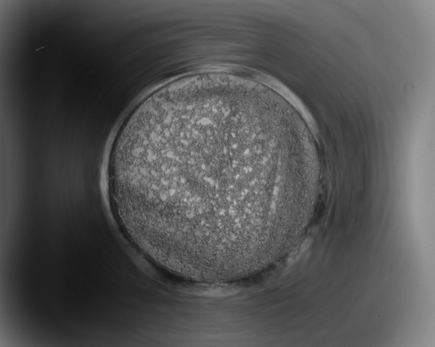 X0000087560811200705181123