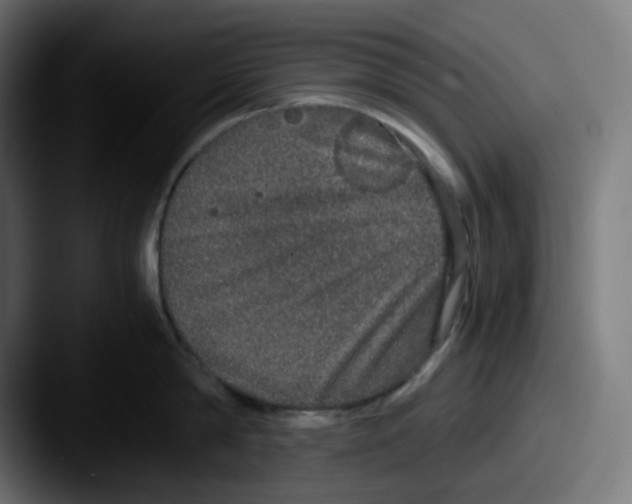 X0000087560814200705181123