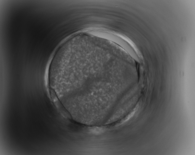 X0000087560815200705181123