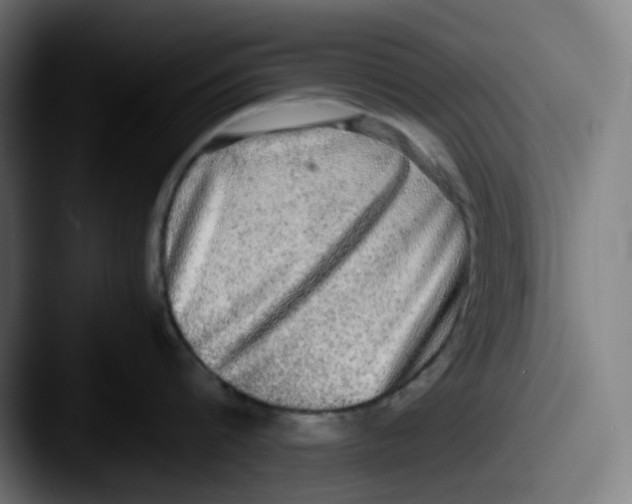 X0000087560816200705181123