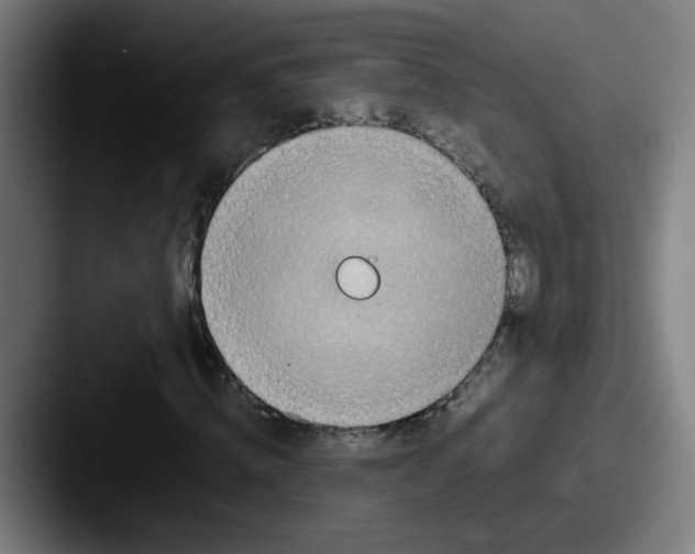X0000087560820200705181123
