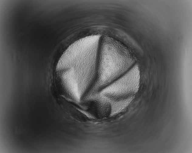 X0000087560821200705181123