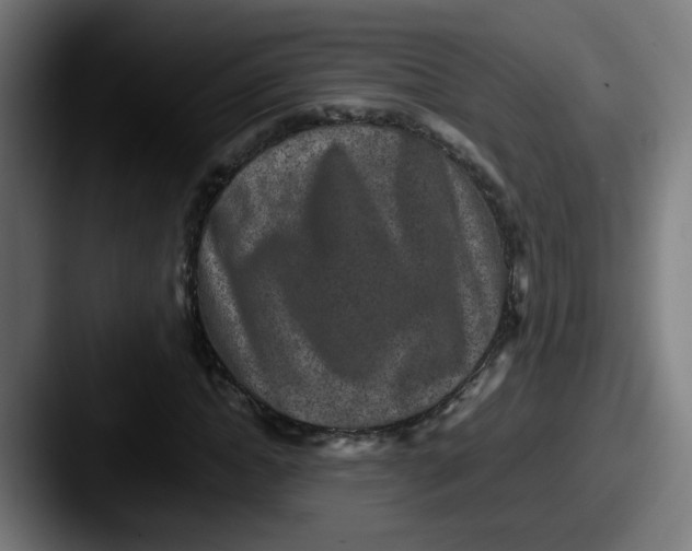 X0000087560822200705181123