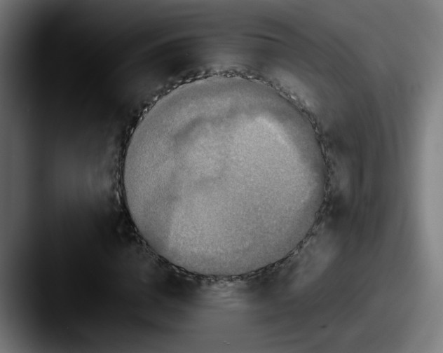 X0000087560824200705181123