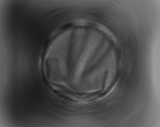 X0000087560825200705181123