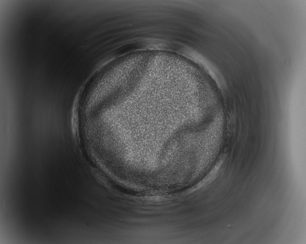 X0000087560827200705181123