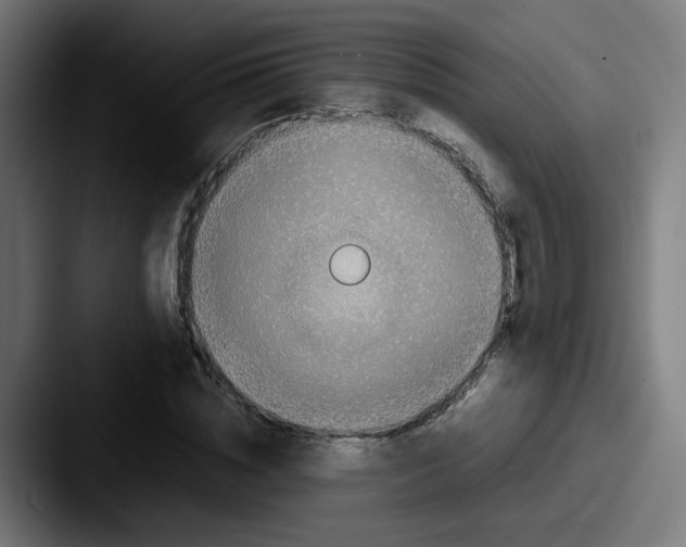 X0000087560828200705181123