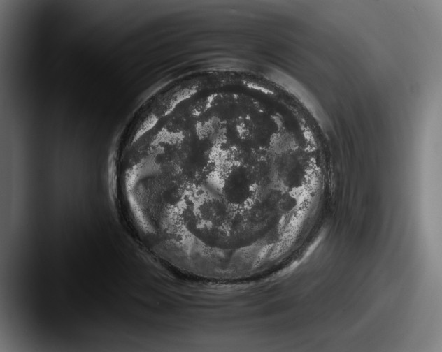 X0000087560829200705181123