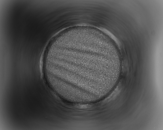 X0000087560831200705181123