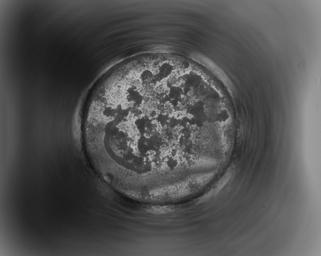 X0000087560835200705181123