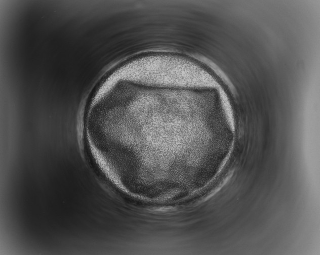 X0000087560837200705181123