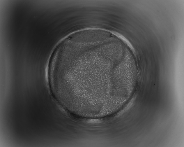 X0000087560839200705181123