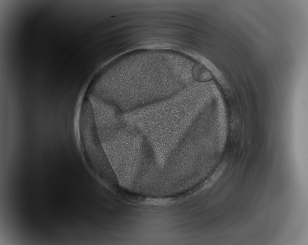 X0000087560840200705181123