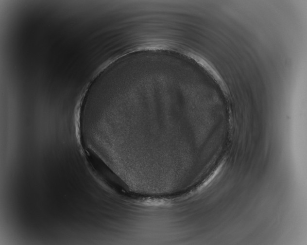 X0000087560842200705181123