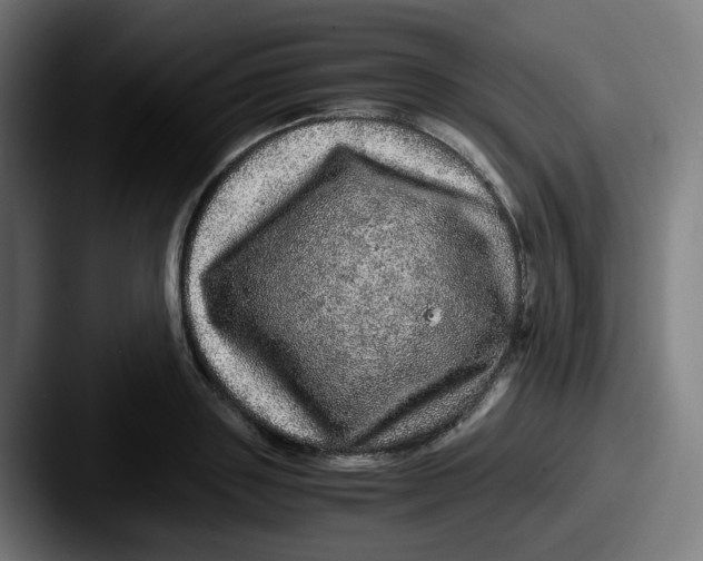 X0000087560843200705181123