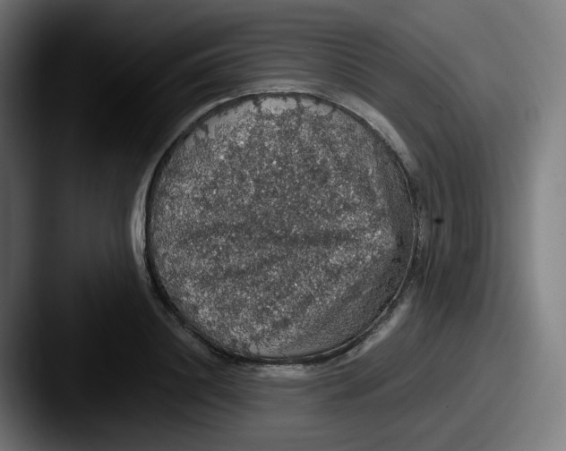 X0000087560844200705181123