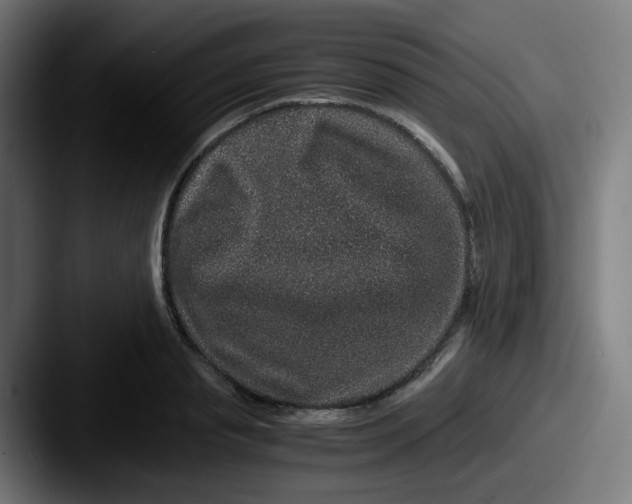 X0000087560845200705181123