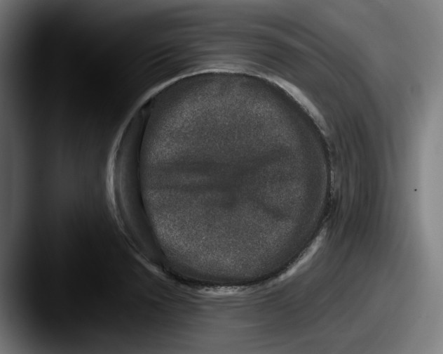 X0000087560846200705181123