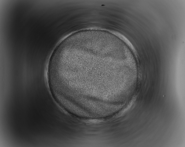 X0000087560847200705181123