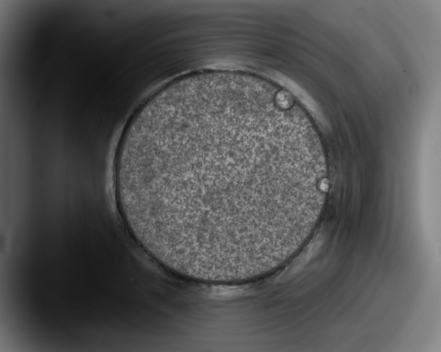 X0000087560848200705181123