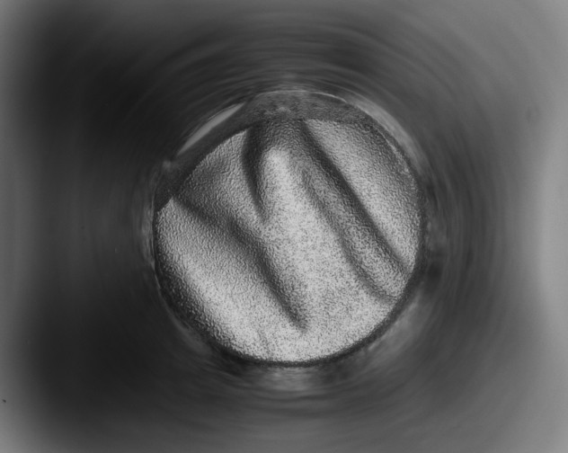 X0000087560849200705181123