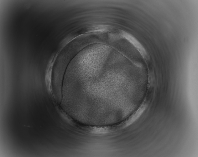 X0000087560850200705181123