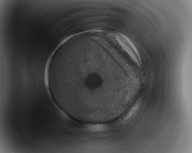 X0000087560851200705181123
