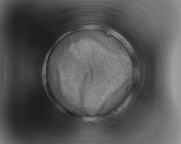 X0000087560852200705181123