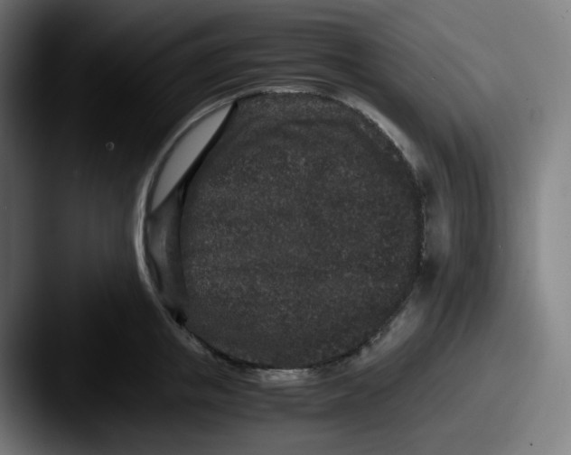 X0000087560853200705181123
