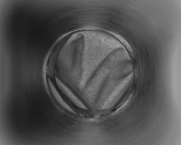 X0000087560854200705181123