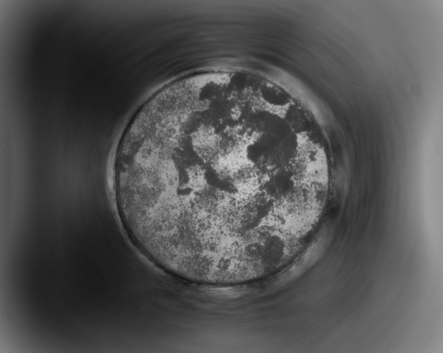 X0000087560855200705181123