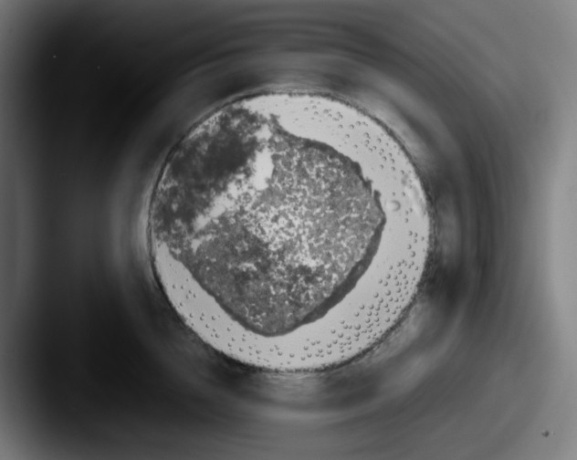 X0000087560856200705181123