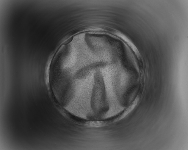 X0000087560858200705181123