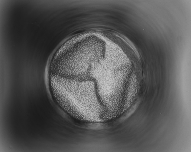 X0000087560859200705181123