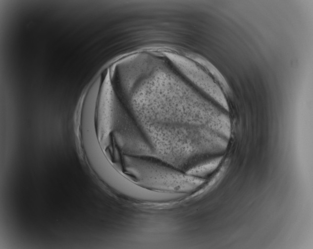 X0000087560860200705181123
