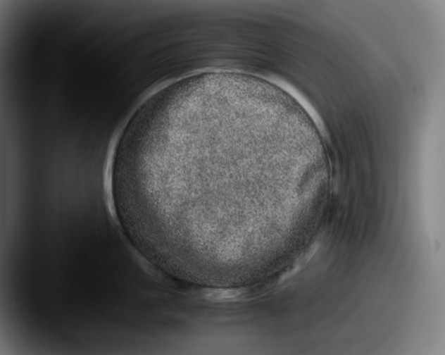 X0000087560861200705181123