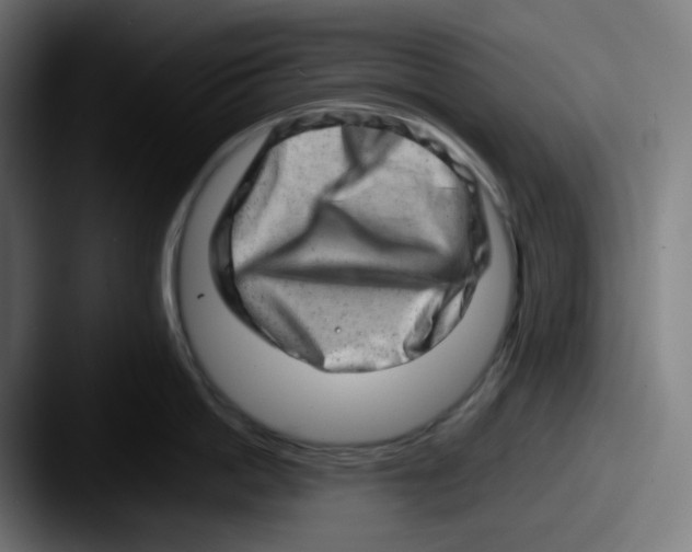 X0000087560862200705181123