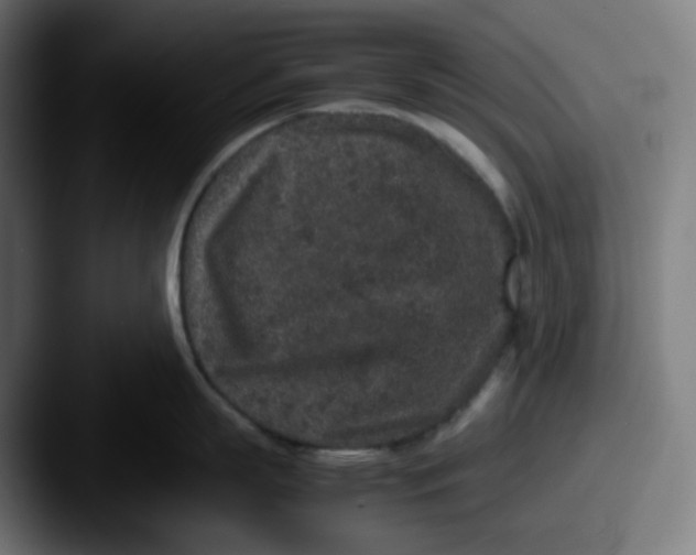 X0000087560863200705181123