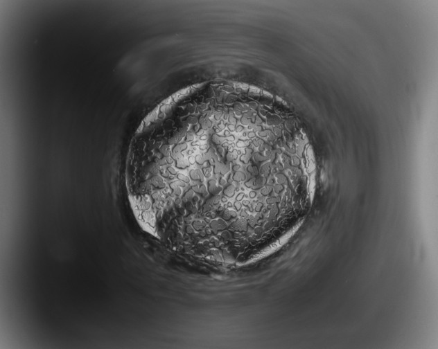 X0000087560867200705181123