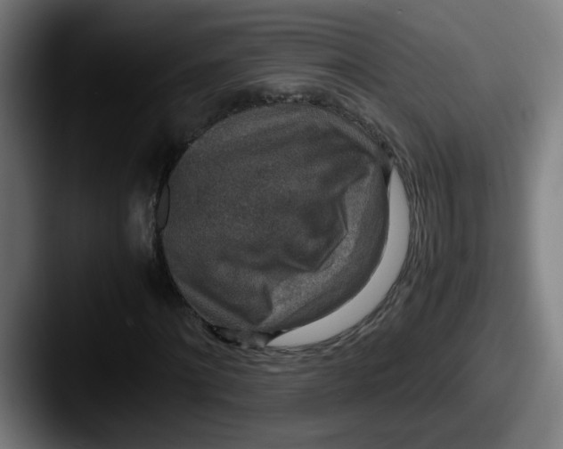 X0000087560868200705181123