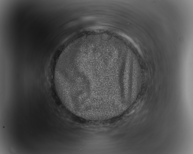 X0000087560871200705181123