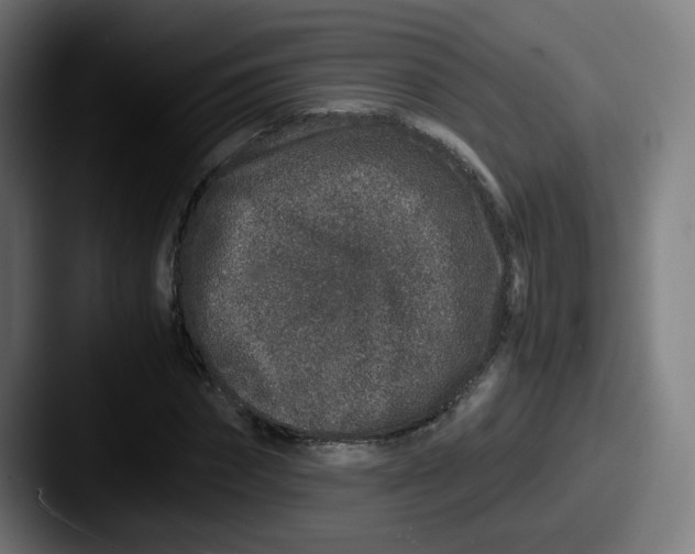 X0000087560874200705181123