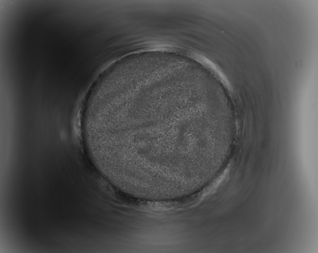 X0000087560875200705181123