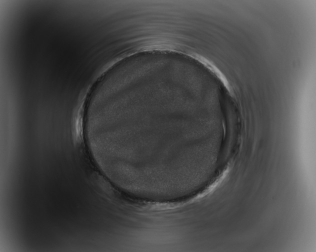 X0000087560877200705181122