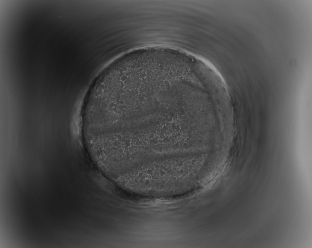 X0000087560879200705181122