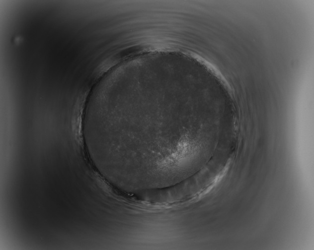 X0000087560881200705181122